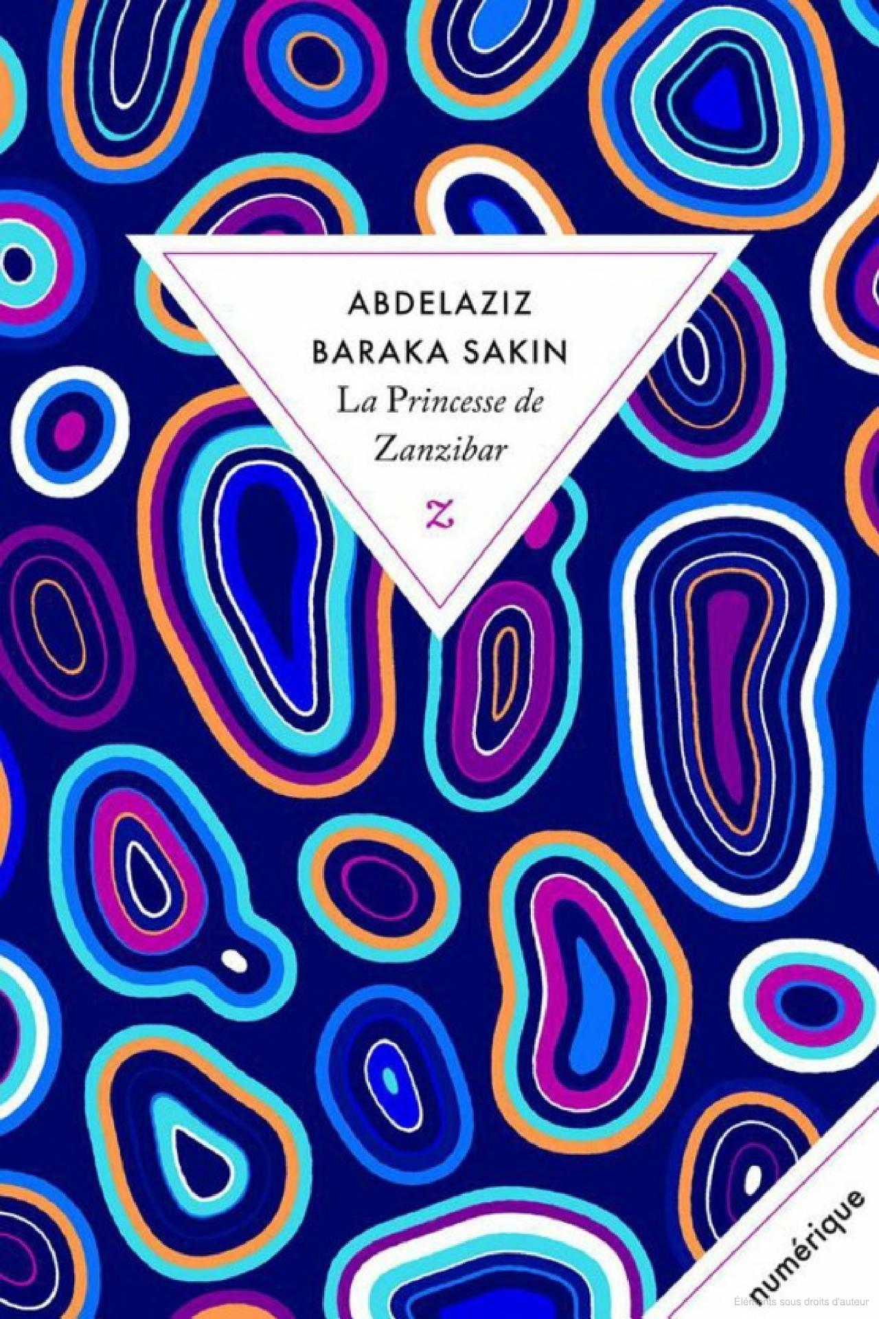 Lire la suite à propos de l’article La Princesse de Zanzibar, Abdelaziz Baraka Sakin