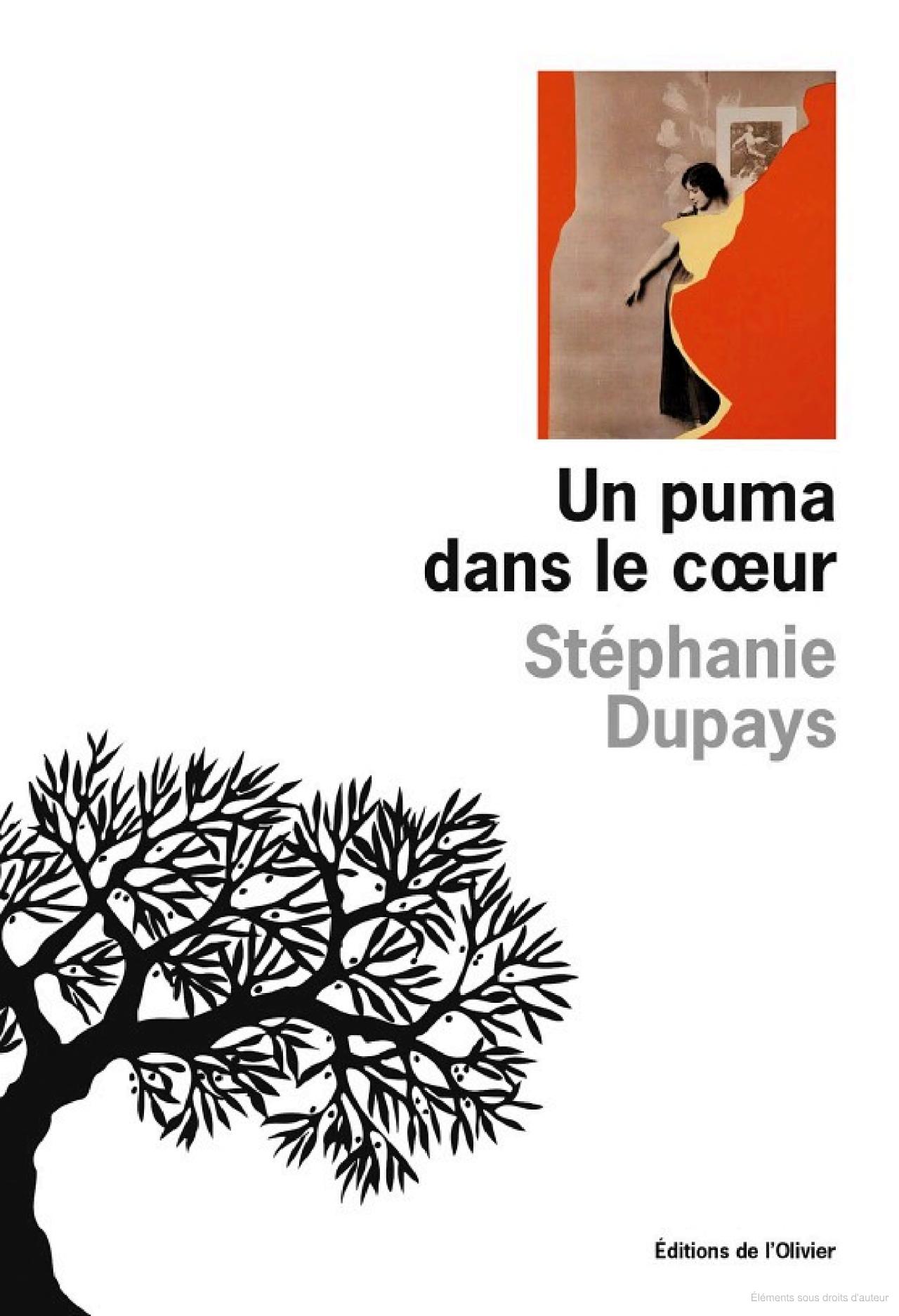 Lire la suite à propos de l’article Un puma dans le cœur, Stéphanie Dupays