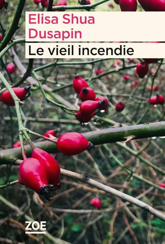 Lire la suite à propos de l’article Le vieil incendie, Elisa Shua Dusapin