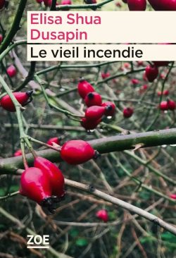 Le vieil incendie, Elisa Shua Dusapin